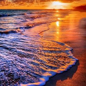 Meet your Posher, Vallari